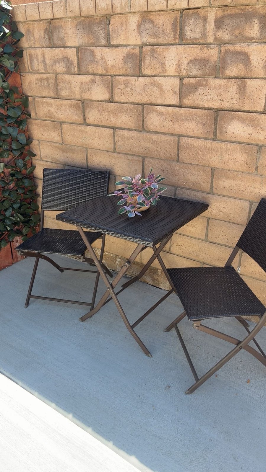 Furnished Finder property 1001769_1 photo 7