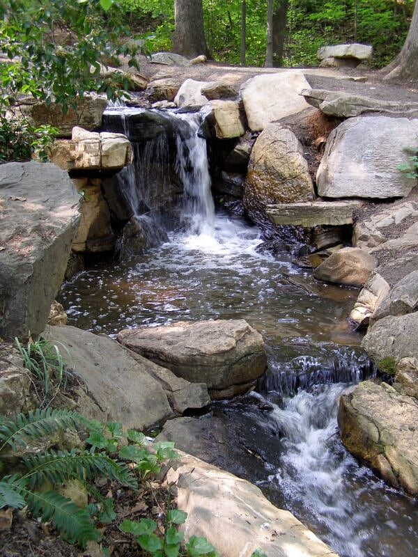 So many beautiful gardens nearby with walking trails.  This is Bog Garden.