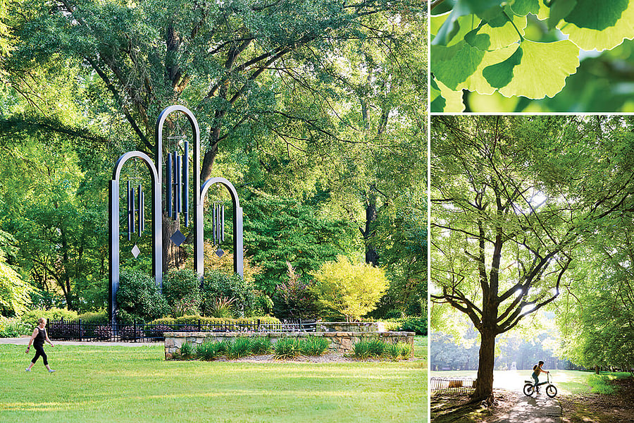 So many beautiful gardens nearby with walking trails.  