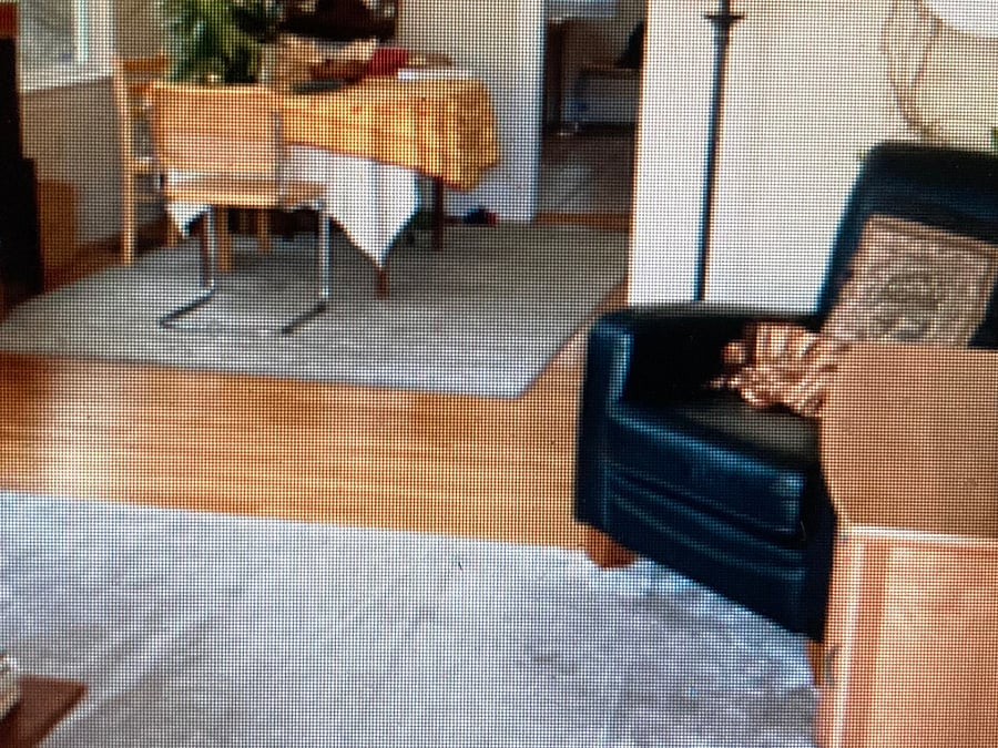 View from front doorway, through living room to dinning room