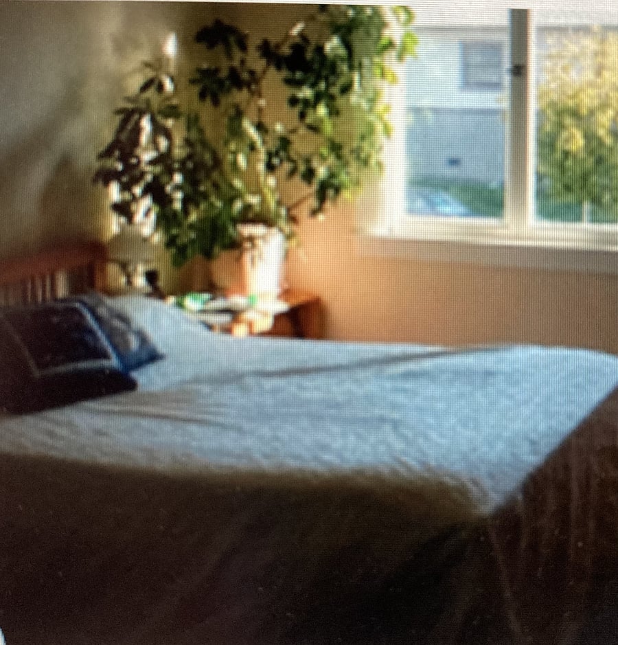 Furnished Finder property 1001826_1 photo 9