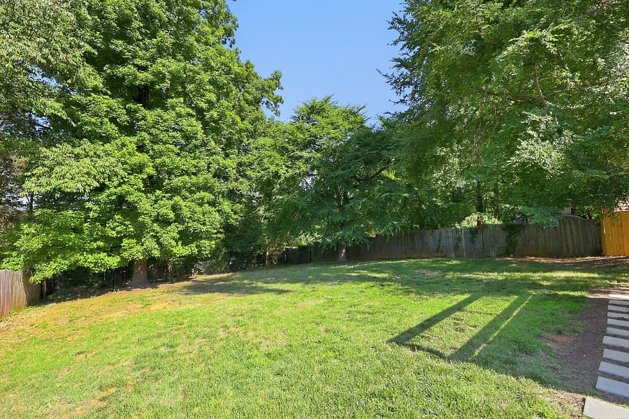 Fenced-in Backyard, Partial Shade