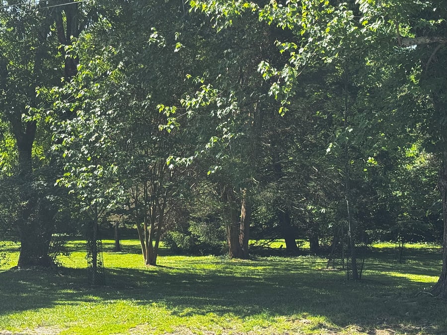 Apartment faces a park and W&OD trails, dog park, playground and walking paths. Located one block to the Silver & Orange Metro lines and 66/495 access. - close to Tysons, DC, and surrounding areas.