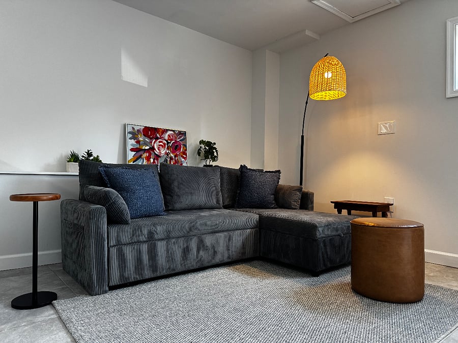 Lower level living room w/TV