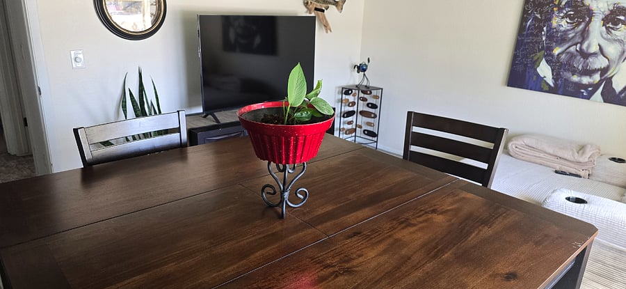 Furnished Finder property 1001925_1 photo 8