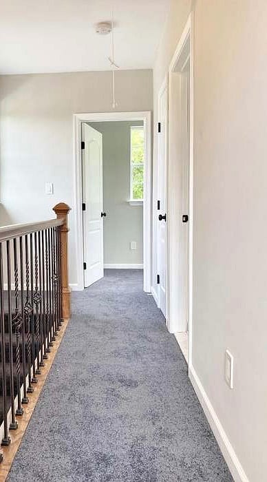 Furnished Finder property 1002030_1 photo 13