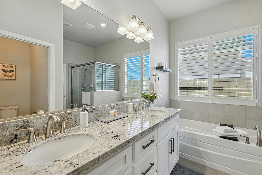 Master Bathroom - double sinks, tub and separate shower