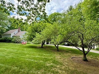 Furnished Finder property 1002068_1 photo 10