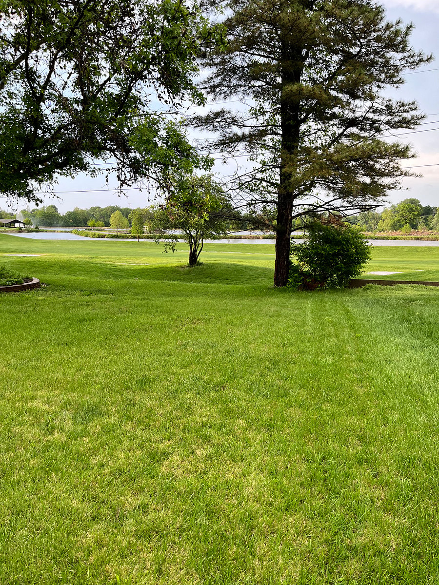 Furnished Finder property 1002081_1 photo 17