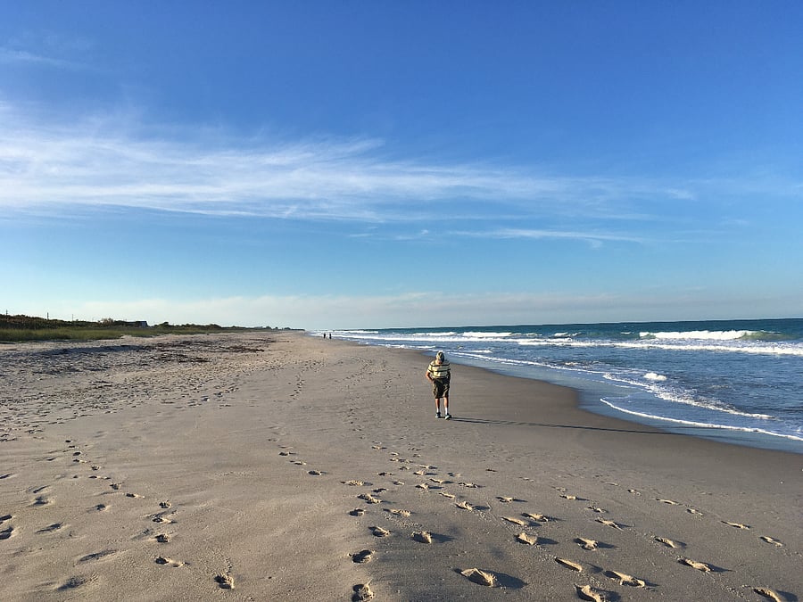Private beach - shell finder