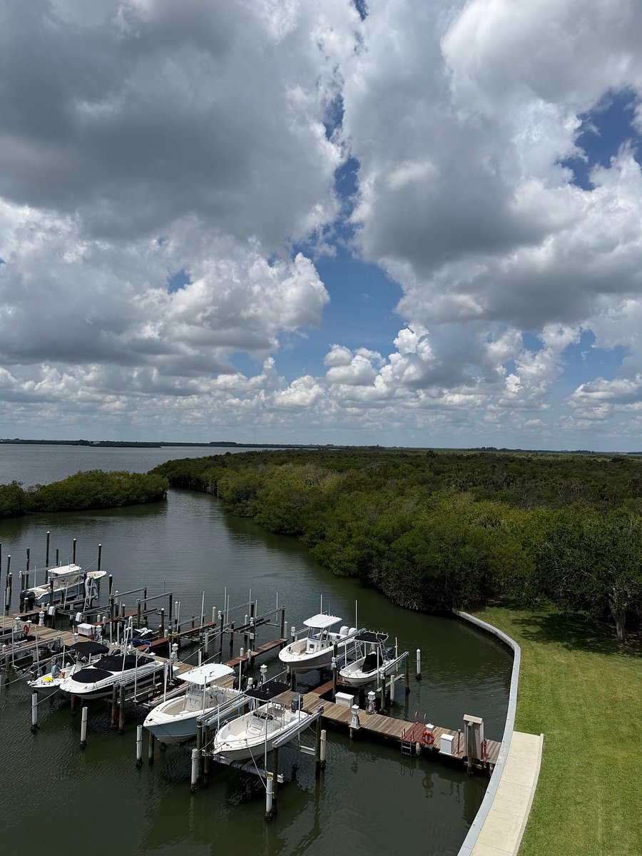 Marina view from patio