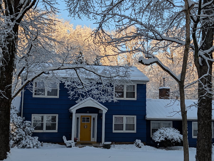 The house in winter