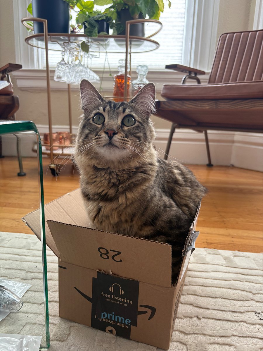 Oscar lives on premises
