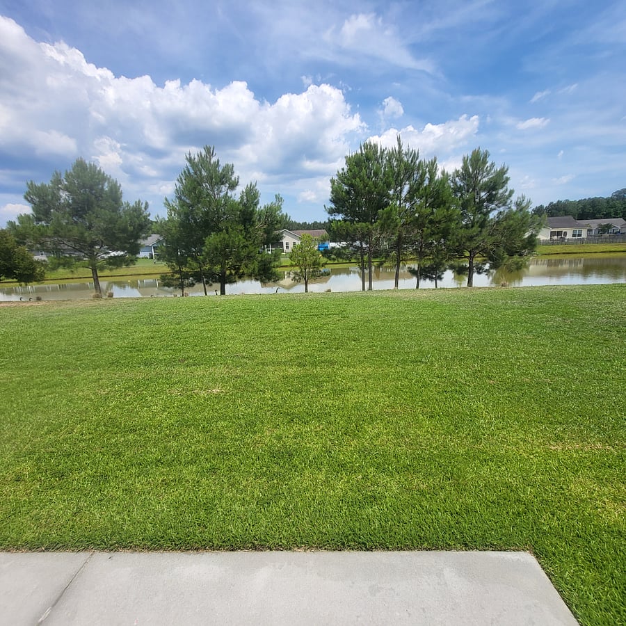 Large Backyard With Pond View