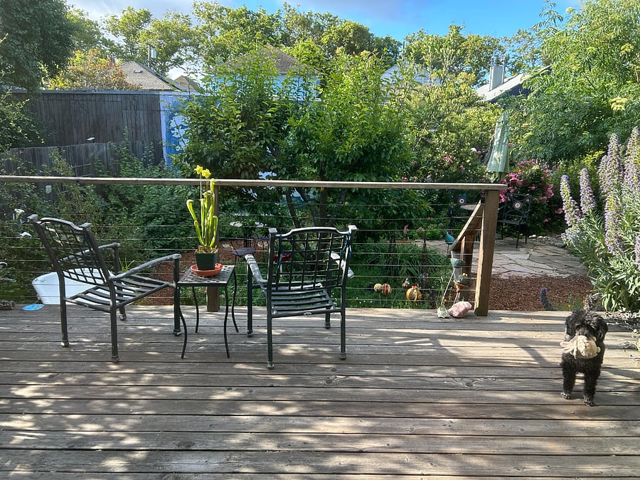 Furnished Finder property 1002552_1 photo 15