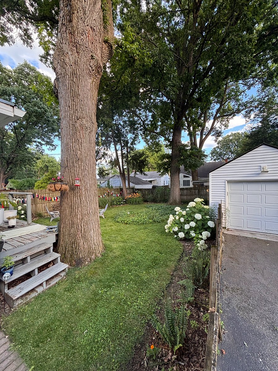 Furnished Finder property 1002588_1 photo 17