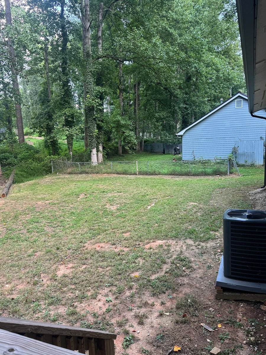 Furnished Finder property 1002602_1 photo 26
