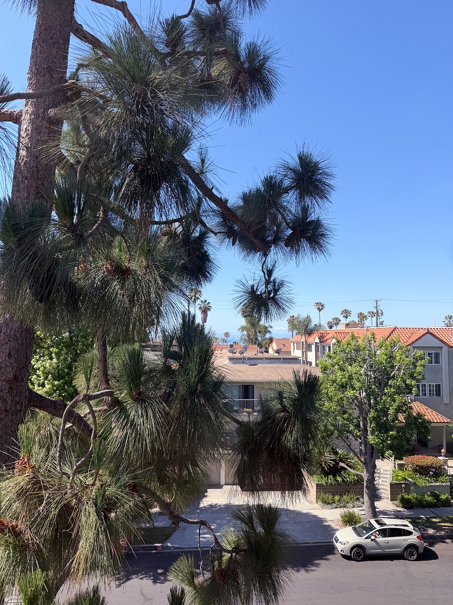 View from dining room