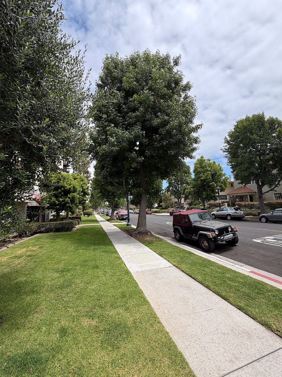 Street view (1st street)
