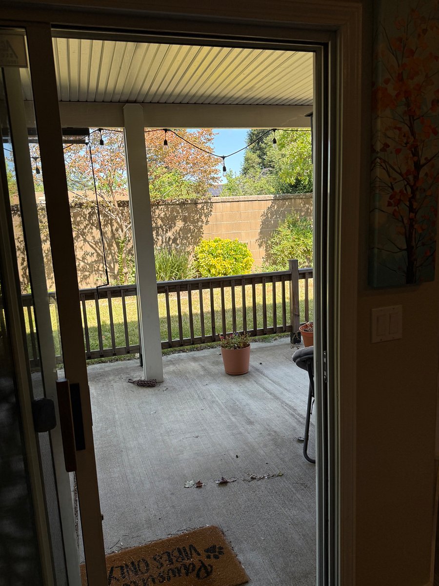 Furnished Finder property 1002666_1 photo 21