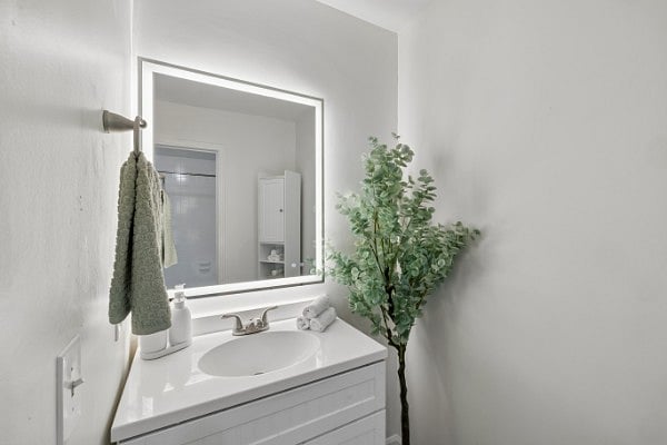 Furnished Finder property 1002691_1 photo 14