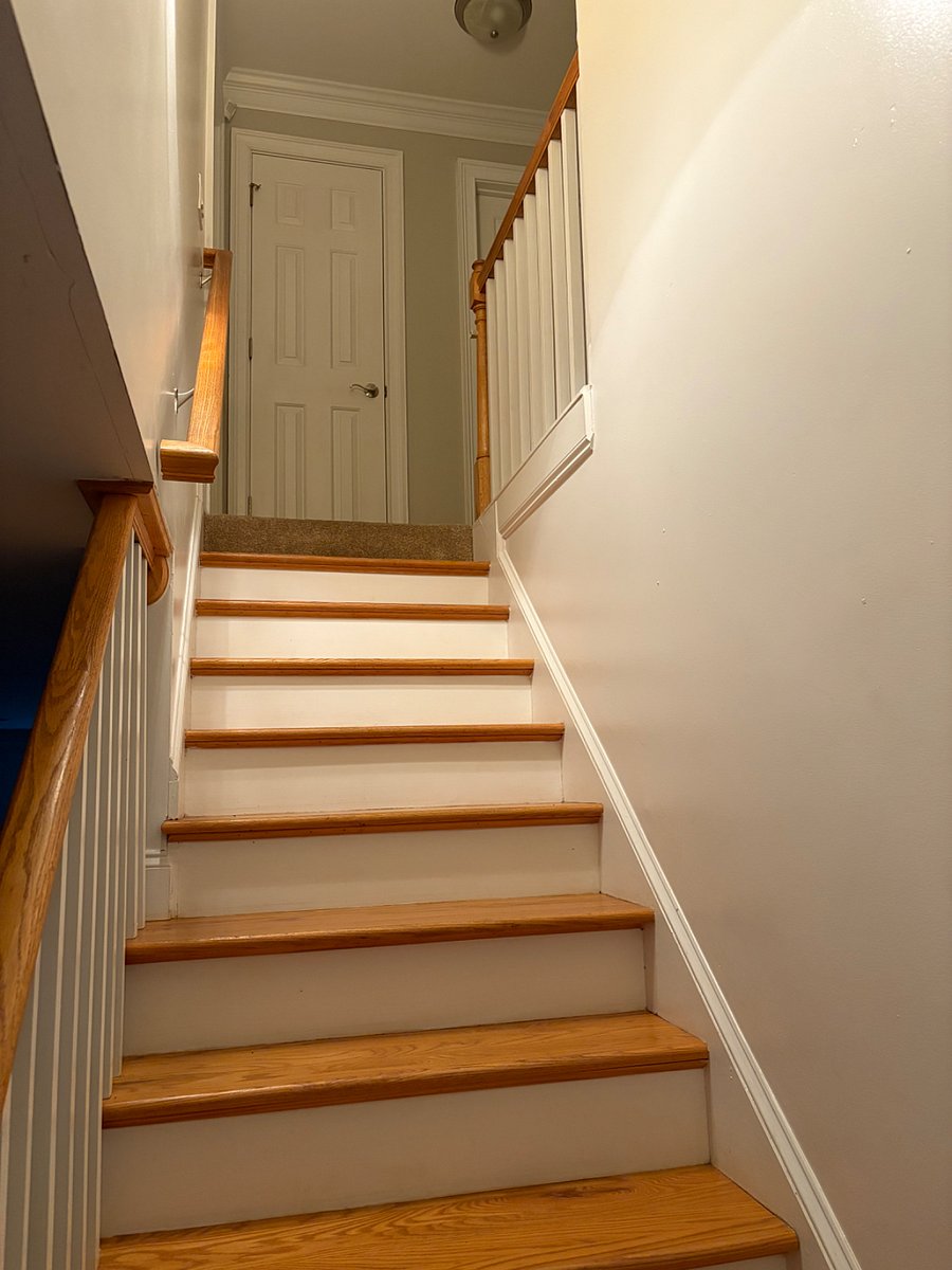 Furnished Finder property 1002761_1 photo 19