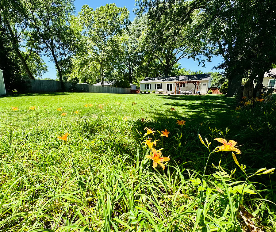 Furnished Finder property 1002775_1 photo 24