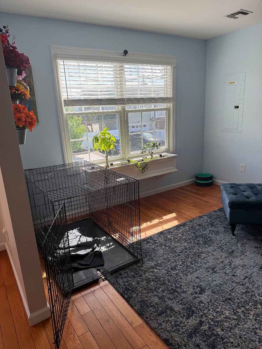 Furnished Finder property 1002832_1 photo 4