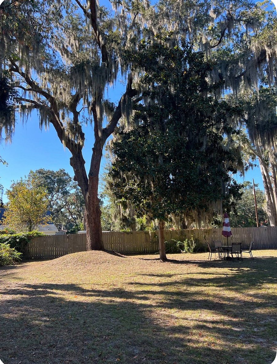 Furnished Finder property 1002878_1 photo 16
