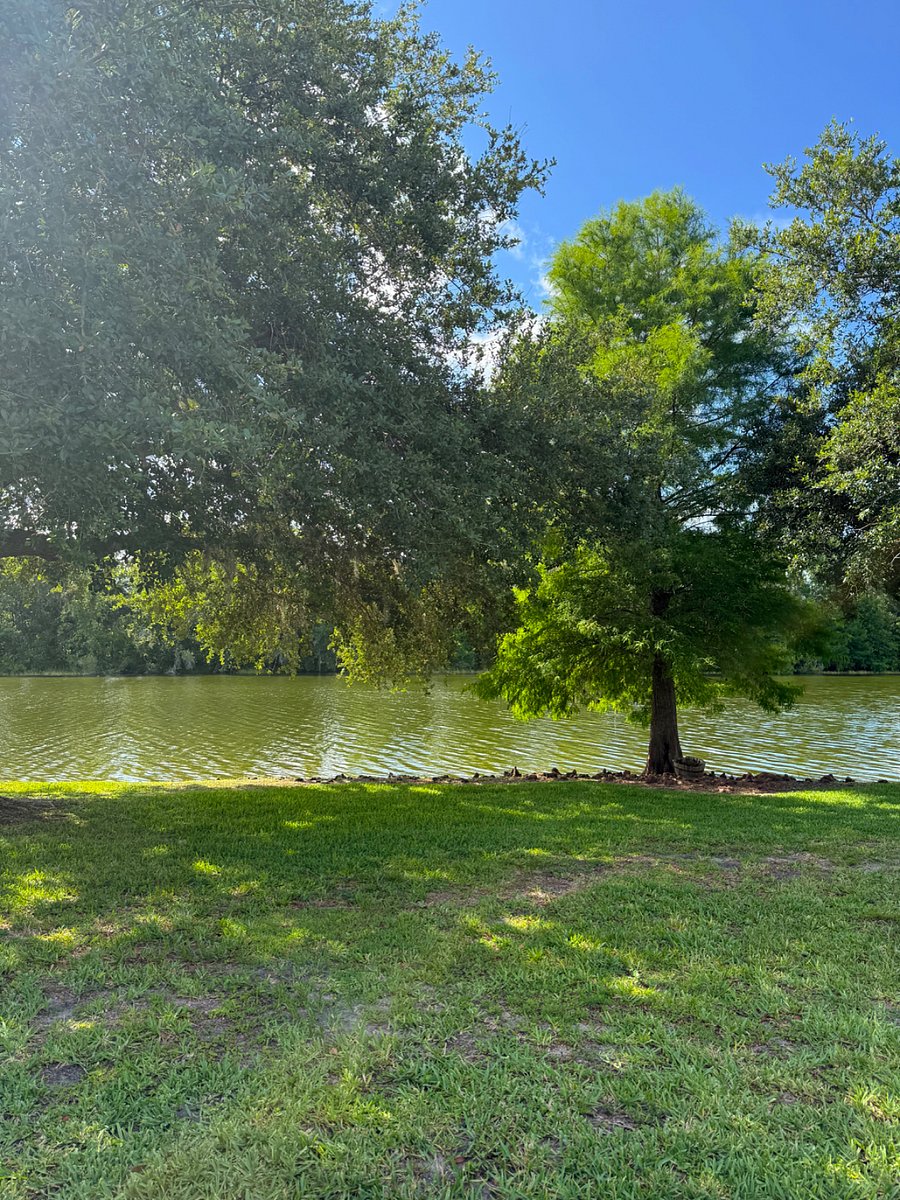 Furnished Finder property 1002918_1 photo 3