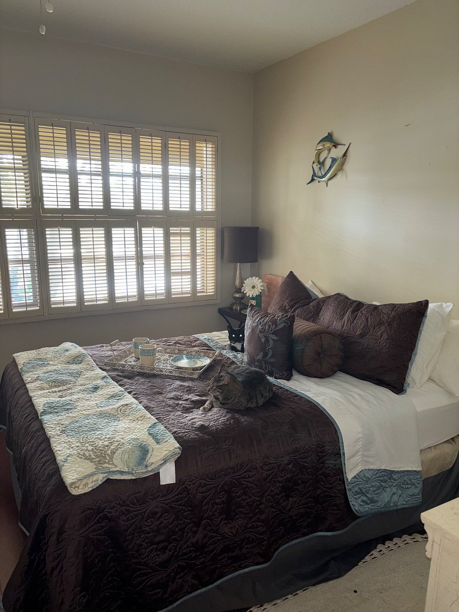 Plantation Shutters for excellent black out results.