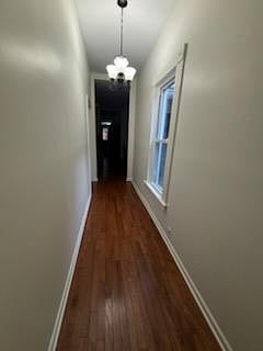 Furnished Finder property 1003063_1 photo 10
