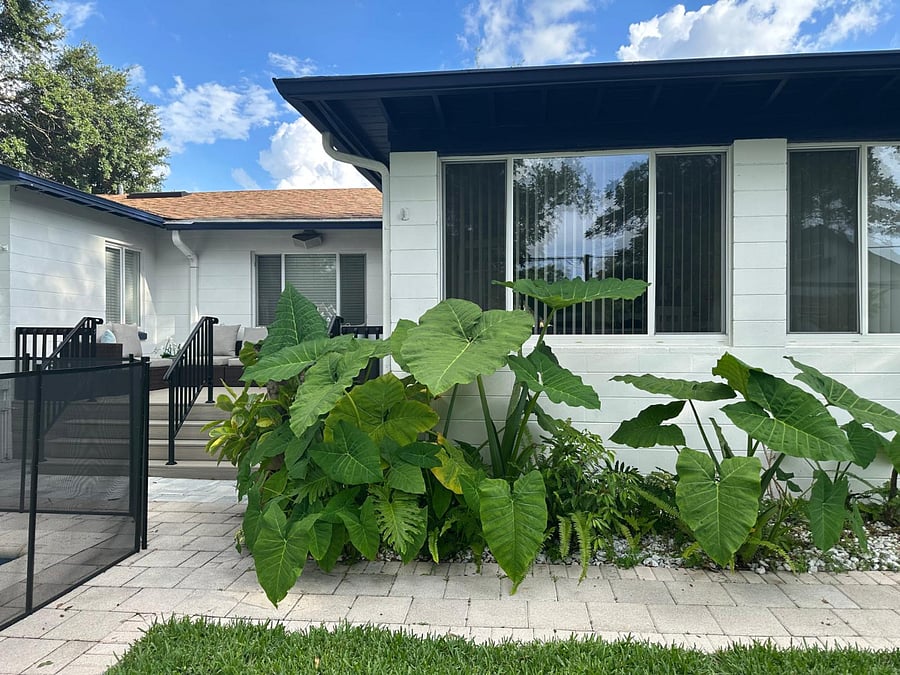 Furnished Finder property 1003122_1 photo 17