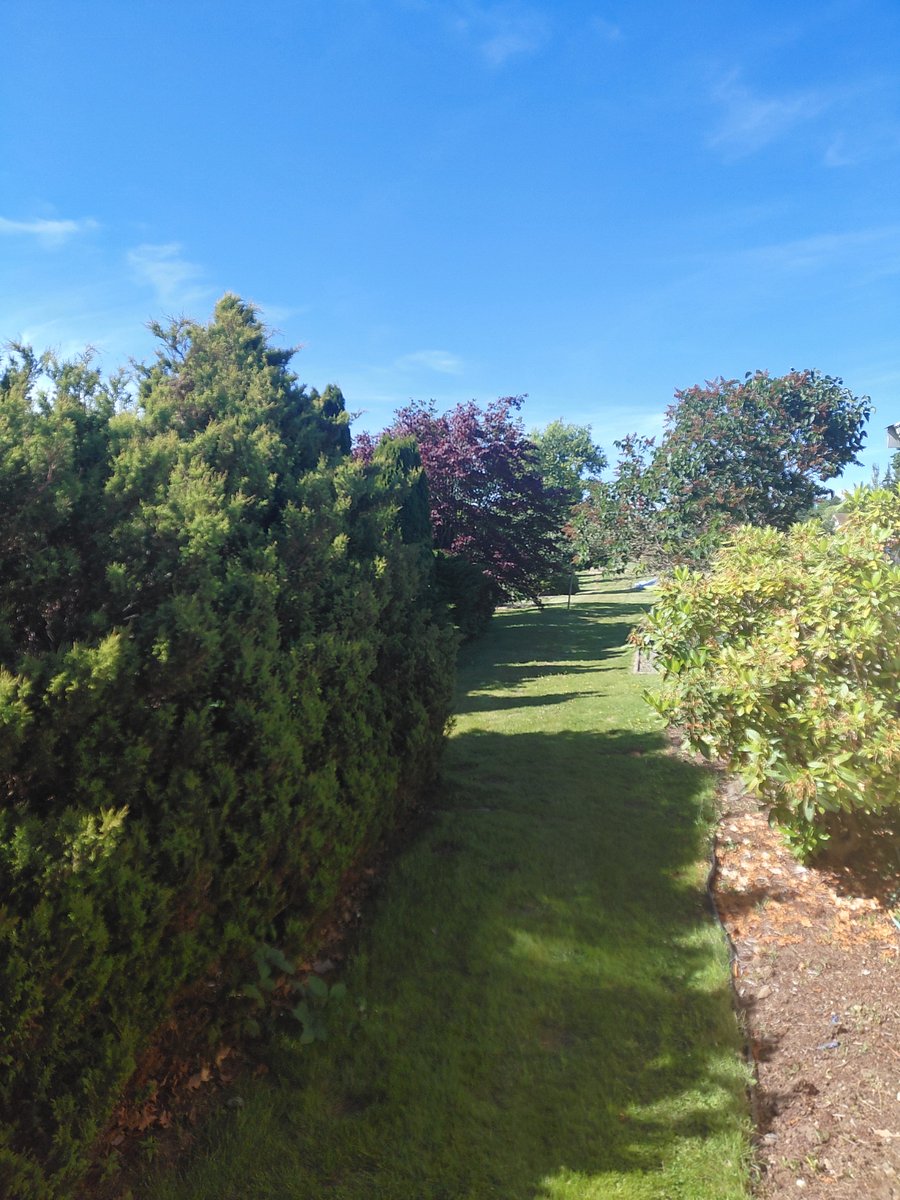 Furnished Finder property 1003139_1 photo 17