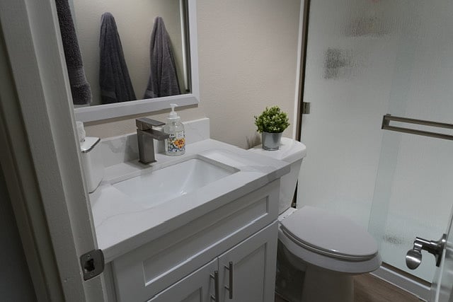 Master Bathroom with Glass Shower Door