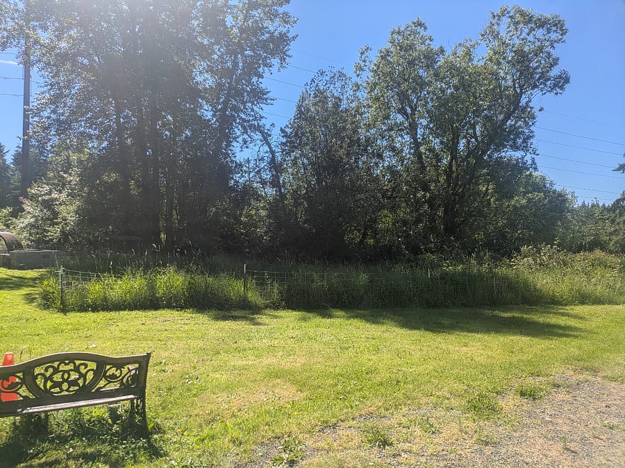 Furnished Finder property 1003179_1 photo 19