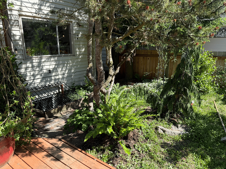 Furnished Finder property 1003184_1 photo 21