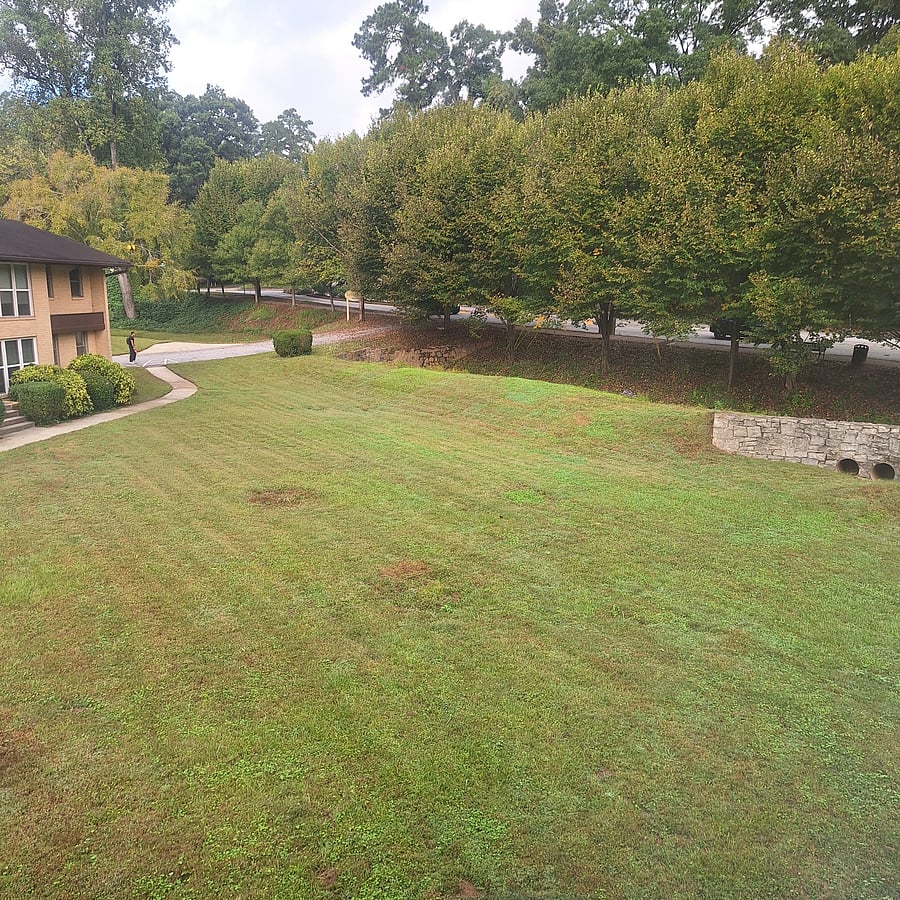 Park-like courtyard, great for dog-walking!