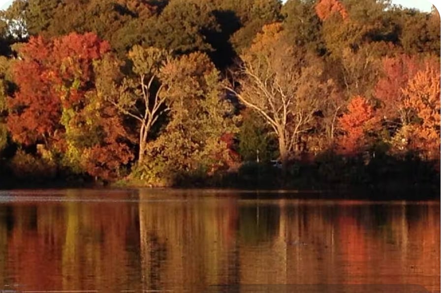 short walk to the Arlington Reservoir