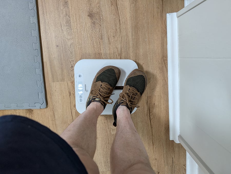 Scale