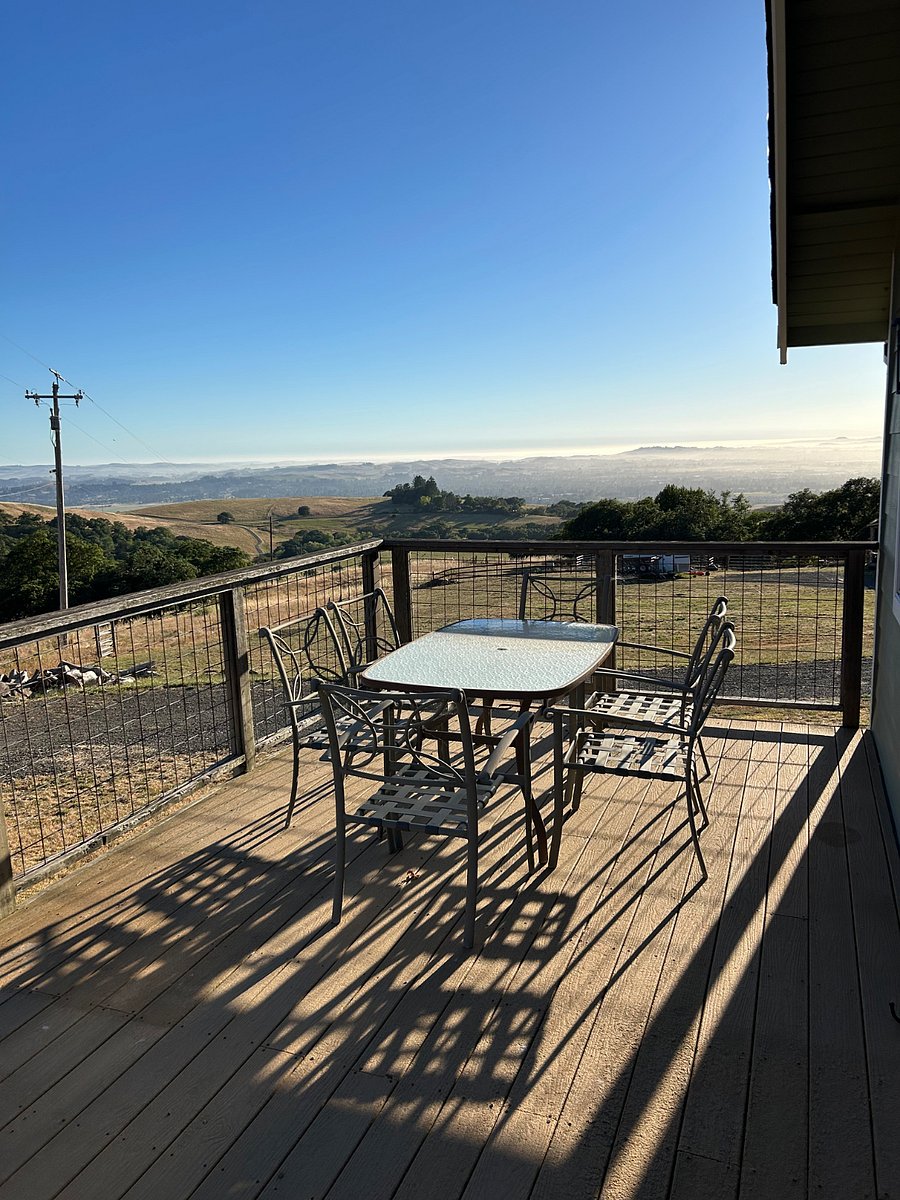 View from deck