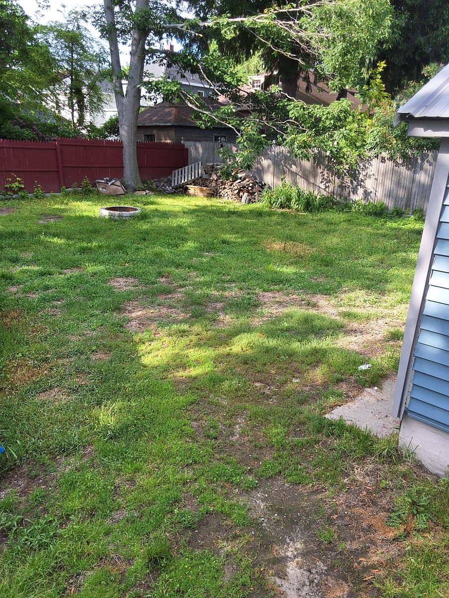Furnished Finder property 1003434_1 photo 3
