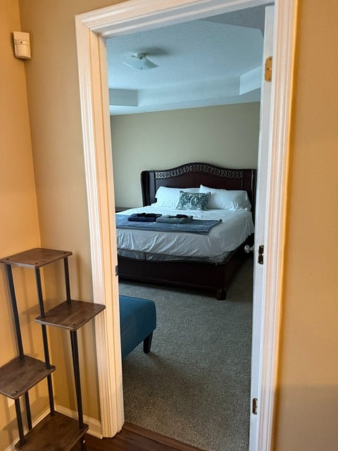 Furnished Finder property 1003487_1 photo 15
