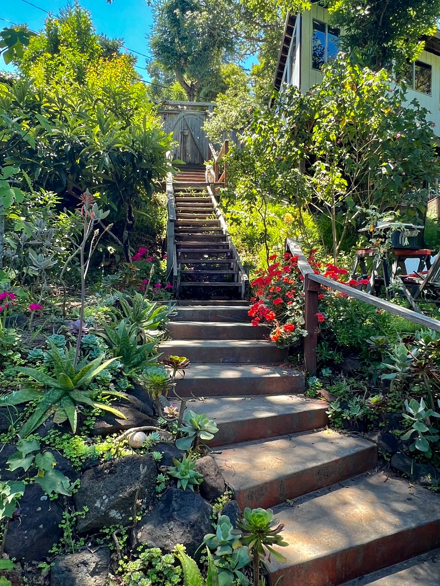 Front steps down to house. Dog friendly!