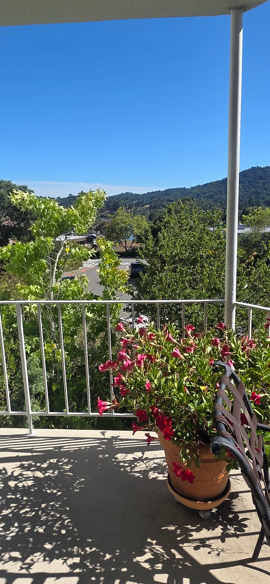 Furnished Finder property 1003544_1 photo 3