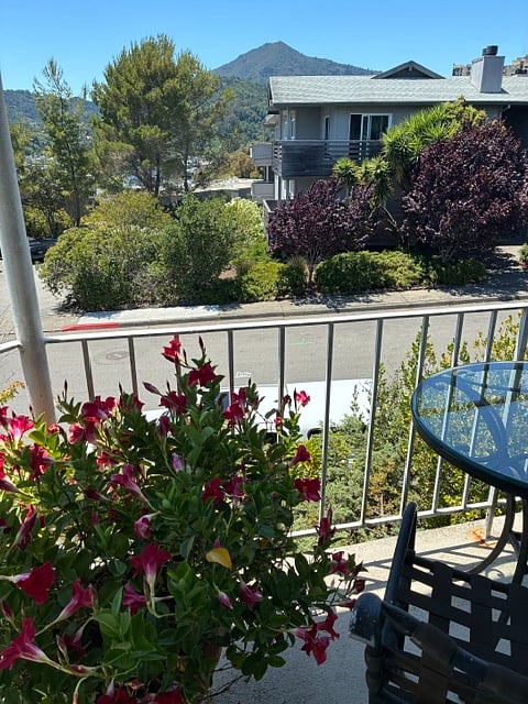 Furnished Finder property 1003544_1 photo 4