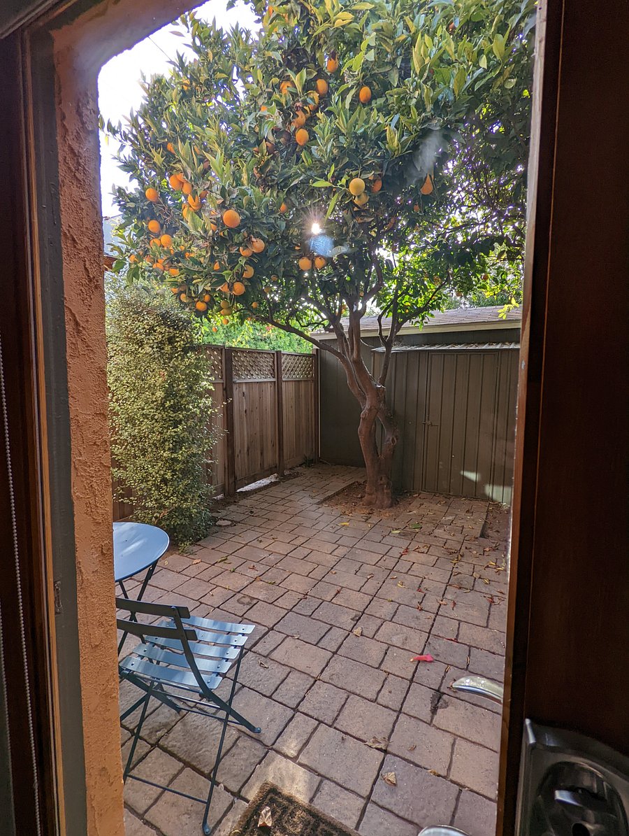 Furnished Finder property 1003556_1 photo 5