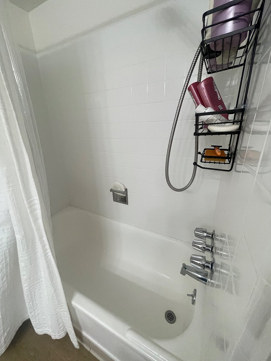 Furnished Finder property 1003655_1 photo 35
