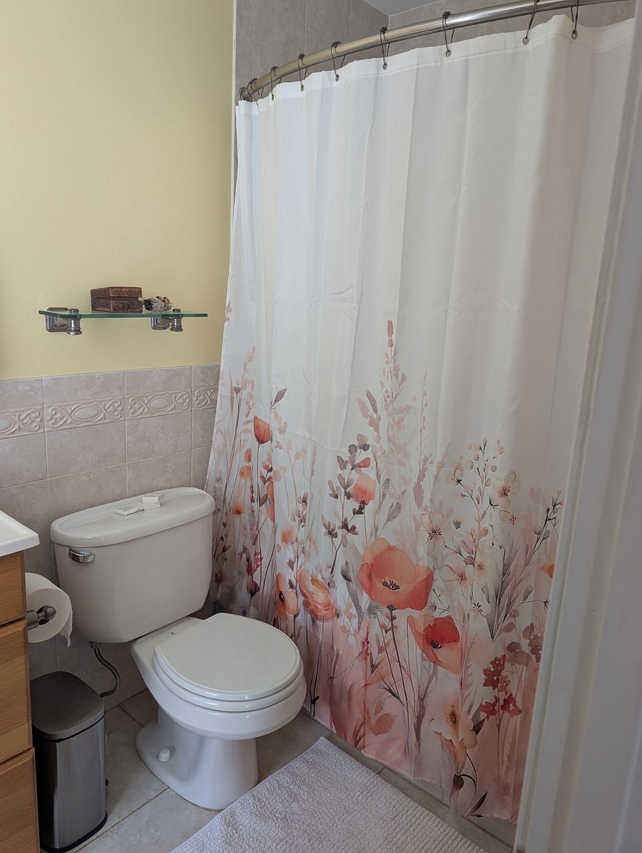 Furnished Finder property 1003666_1 photo 6