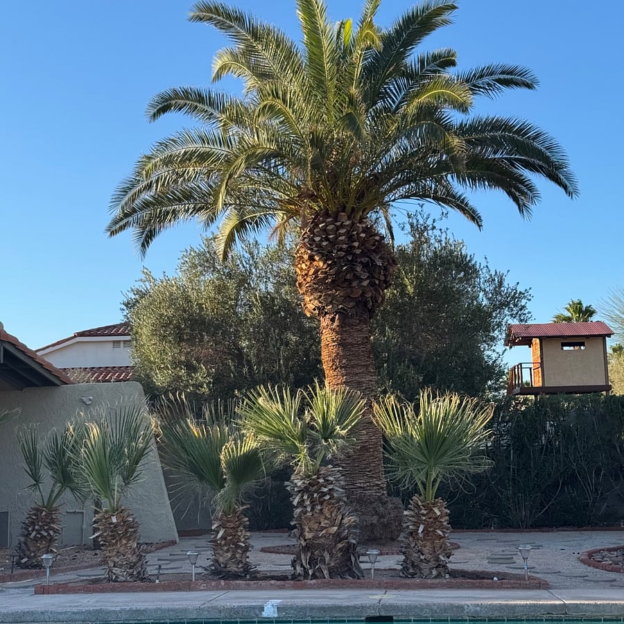 Furnished Finder property 1003693_1 photo 4